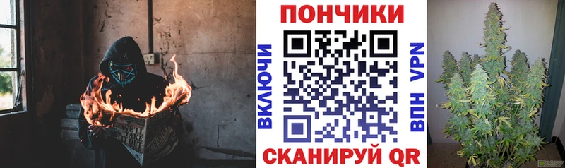 Канабис сатива Таштагол